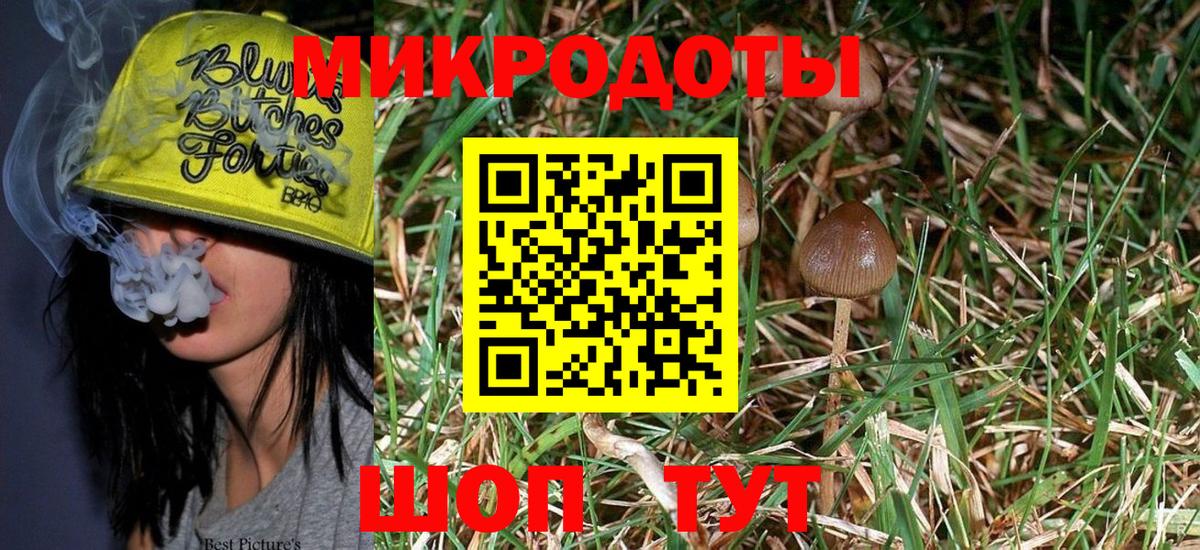 Галлюциногенные грибы Psilocybine cubensis  Псилоцибиновые грибы мицелий  Вход с VPN  Егорьевск 