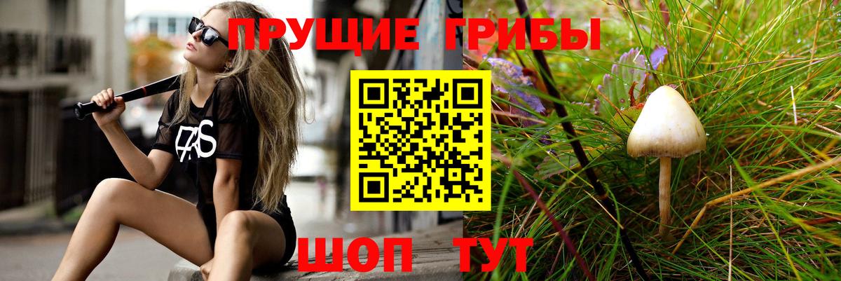 Галлюциногенные грибы Psilocybine cubensis Егорьевск